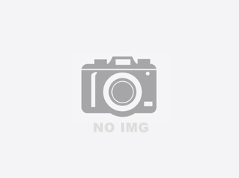 91香蕉视频下载污公司的2M53130硅钢片去毛刺机再次进军湖北